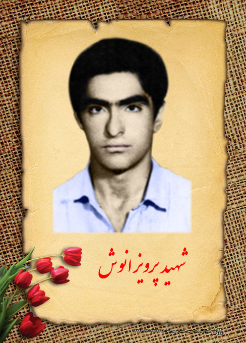 شهید پرویز انوش؛ رزمندگان ما شبانه روز خواب را از چشمان دشمن ربوده اند