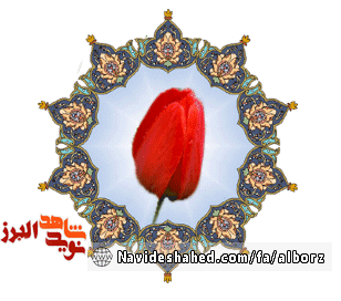 شهیدی که برای شهادت لحظه شماری می کرد