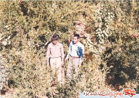 تصاویر ناب شهید محمد رضاييان ابرقويي تصاویر ناب شهید محمد رضاييان ابرقويي