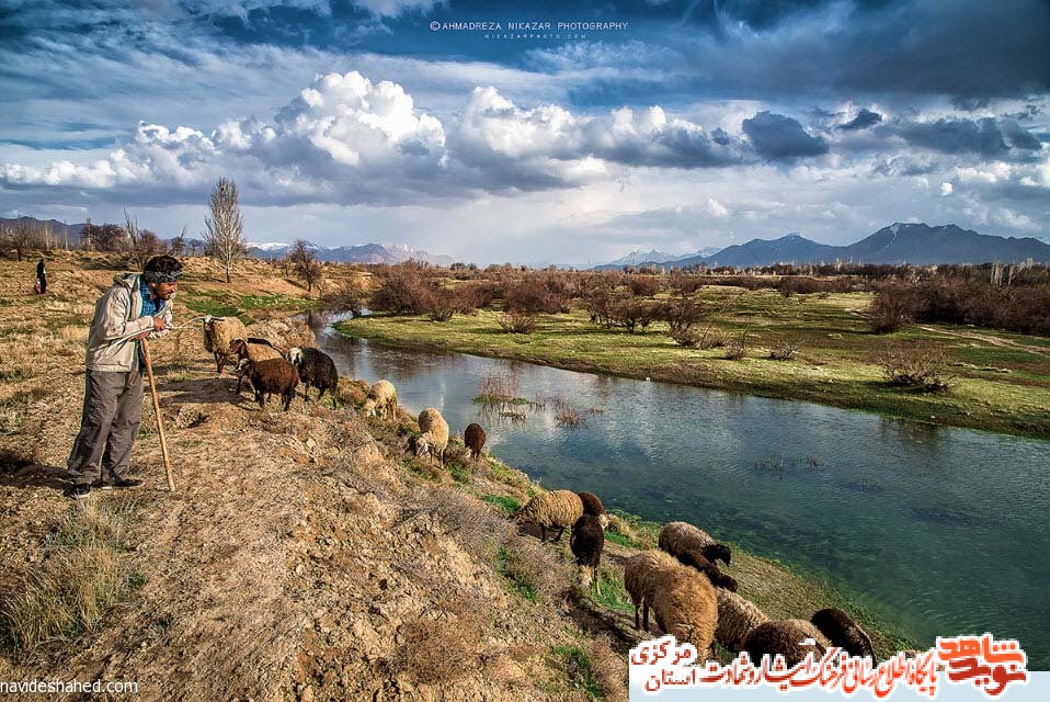 معرفی چهار شهید روستای معرفی چهار شهید روستای