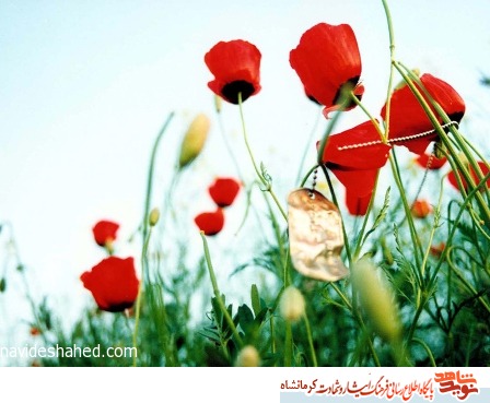 شهید حمد اله کلب علی پور/ مبارزه با ضد انقلابیون داخلی یک تکلیف شرعی است شهید حمد اله کلب علی پور/ مبارزه با ضد انقلابیون داخلی یک تکلیف شرعی است