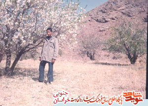 آگاهانه آرزوی شهادت کرد آگاهانه آرزوی شهادت کرد
