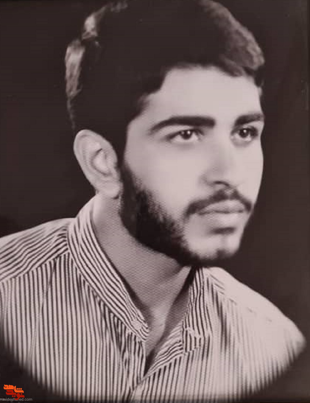 شهید محمدتقی شرعی