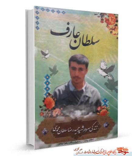 سلطان عارف | زندگینامه سردار شهید «حمیدرضا سلطان محمدی»