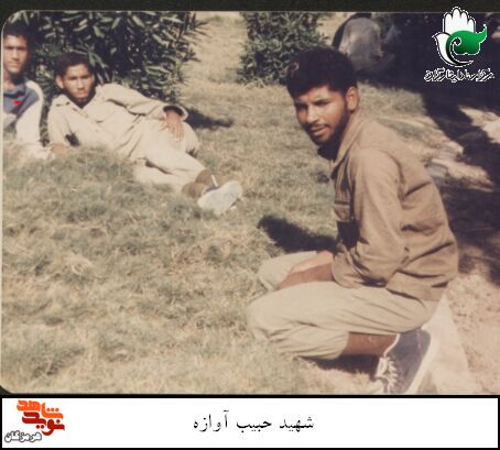 آلبوم تصاویر شهید «حبیب آوازه»