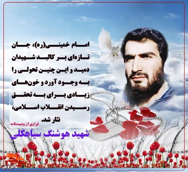 خون‌هاى زیادى براى به تحقق رسیدن انقلاب اسلامى، نثار شد