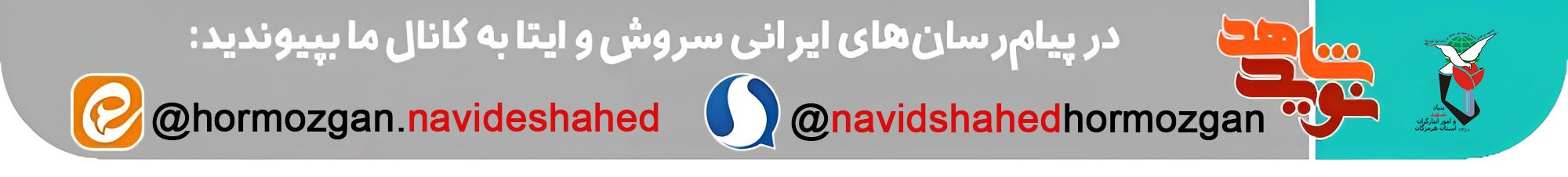 دیدار و تجلیل از دختران شاهد حاجی‌آباد+ تصاویر