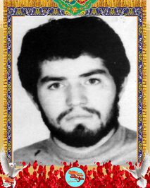 شهید مهدی هروی