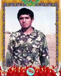 شهید مهدی هروی