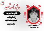 ویژه نامه الکترونیکی آموزگار شهید «نادر شادیوند»
